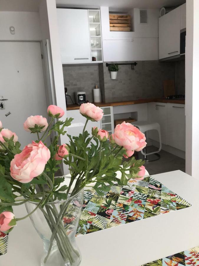 Leilighet Apartament Centrum Zgoda *